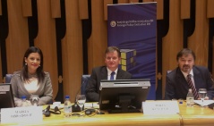 14. мај 2014. Народна посланица Марија Обрадовић на састанку представника одбора за спољне послове и регионалној конференцији у Сарајеву